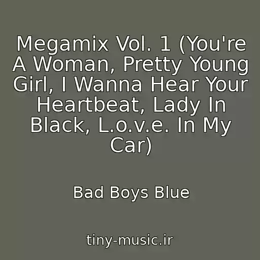 کاور آهنگ Megamix Vol. 1 (You're A Woman, Pretty Young Girl, I Wanna Hear Your Heartbeat, Lady In Black, L.o.v.e. In My Car) از Bad Boys Blue