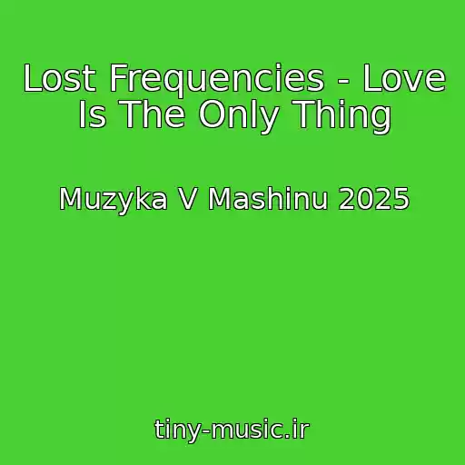 کاور آهنگ Lost Frequencies - Love Is The Only Thing از Muzyka V Mashinu 2025