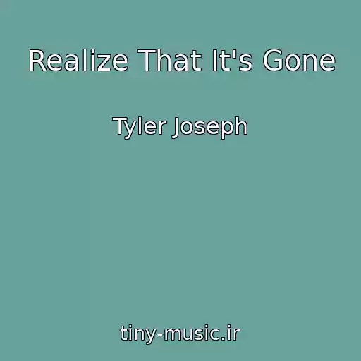 کاور آهنگ Realize That It's Gone از Tyler Joseph