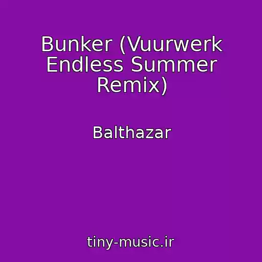 کاور آهنگ Bunker (Vuurwerk Endless Summer Remix) از Balthazar