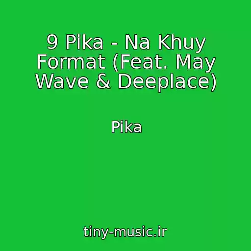 کاور آهنگ 9 Pika - Na Khuy Format (Feat. May Wave & Deeplace) از Pika