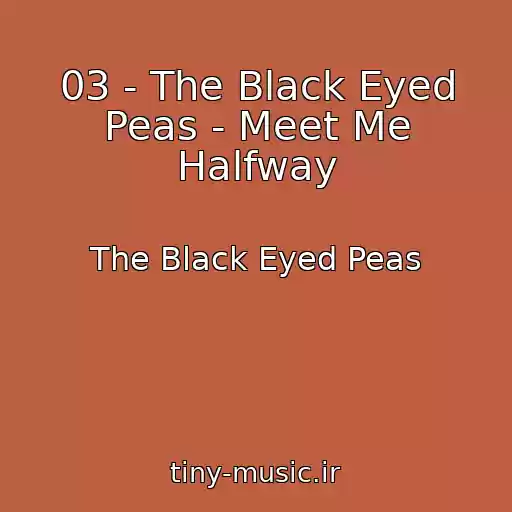 کاور آهنگ 03 - The Black Eyed Peas - Meet Me Halfway از The Black Eyed Peas