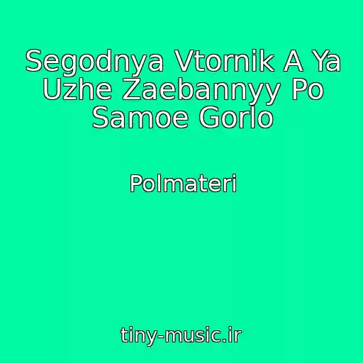 کاور آهنگ Segodnya Vtornik A Ya Uzhe Zaebannyy Po Samoe Gorlo از Polmateri