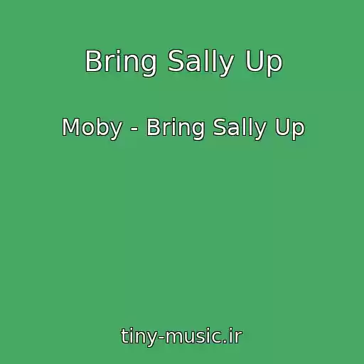 کاور آهنگ Bring Sally Up از Moby - Bring Sally Up