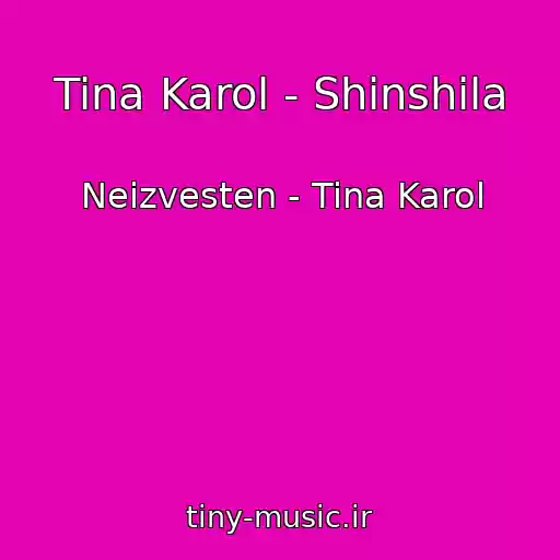 کاور آهنگ Tina Karol - Shinshila از Neizvesten - Tina Karol