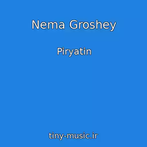 کاور آهنگ Nema Groshey از Piryatin