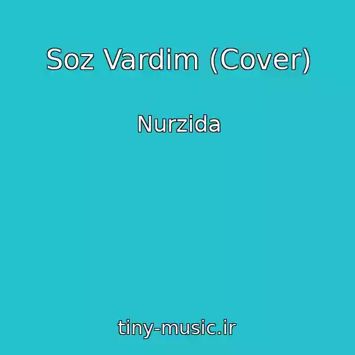 کاور آهنگ Soz Vardim (Cover) از Nurzida