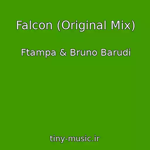 کاور آهنگ Falcon (Original Mix) از Ftampa & Bruno Barudi