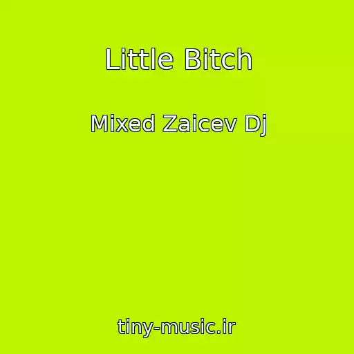 کاور آهنگ Little Bitch از Mixed Zaicev Dj