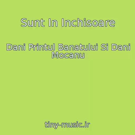 کاور آهنگ Sunt In Inchisoare از Dani Printul Banatului Si Dani Mocanu