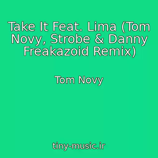 کاور آهنگ Take It Feat. Lima (Tom Novy, Strobe & Danny Freakazoid Remix) از Tom Novy
