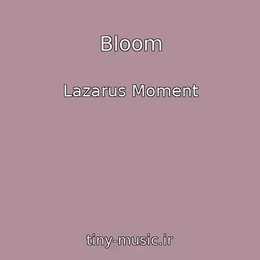 کاور آهنگ Bloom از Lazarus Moment