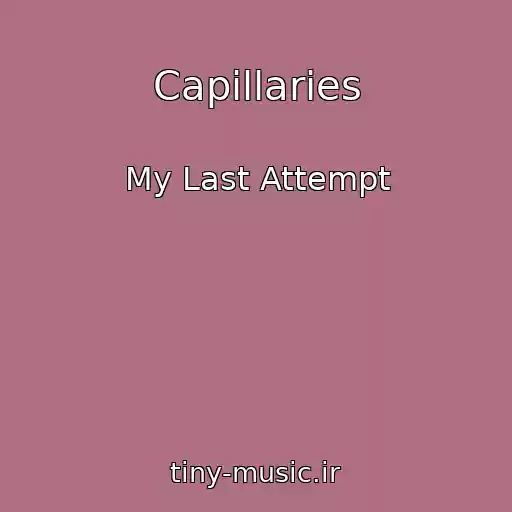 کاور آهنگ Capillaries از My Last Attempt