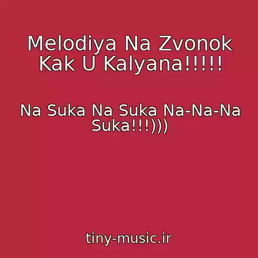 کاور آهنگ Melodiya Na Zvonok Kak U Kalyana!!!!! از Na Suka Na Suka Na-Na-Na Suka!!!)))