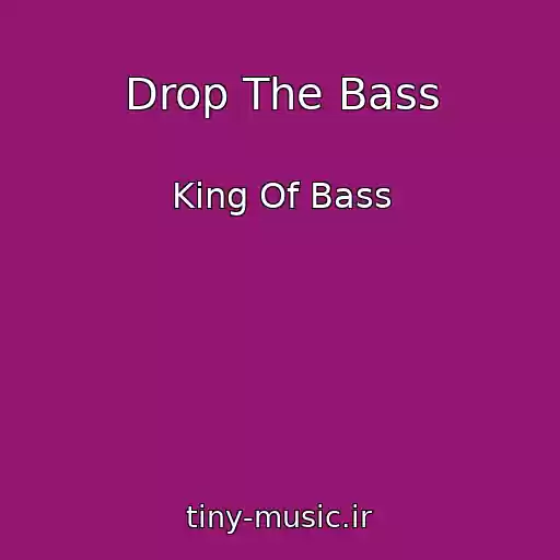کاور آهنگ Drop The Bass از King Of Bass