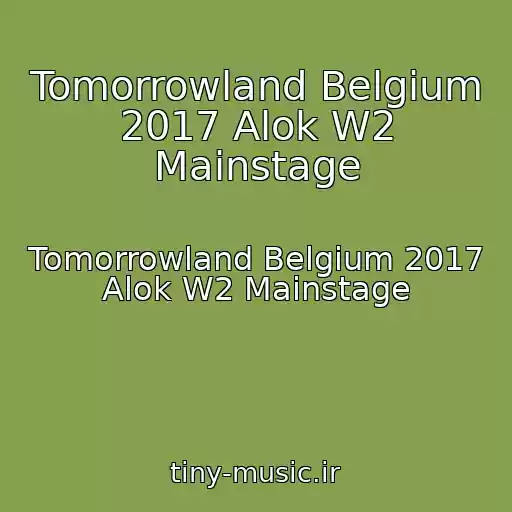 کاور آهنگ Tomorrowland Belgium 2017 Alok W2 Mainstage از Tomorrowland Belgium 2017 Alok W2 Mainstage