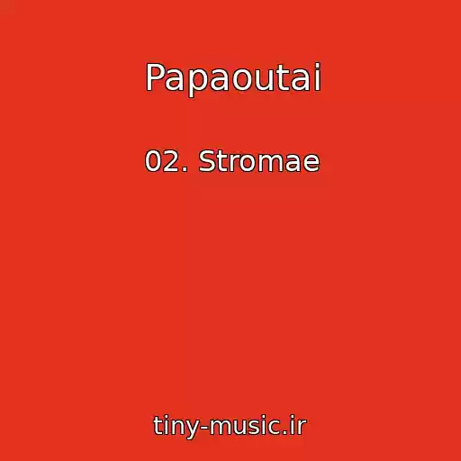 کاور آهنگ Papaoutai از 02. Stromae