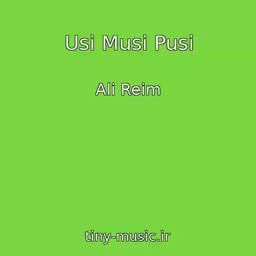 کاور آهنگ Usi Musi Pusi از Ali Reim