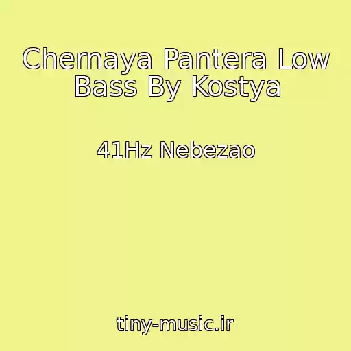 کاور آهنگ Chernaya Pantera Low Bass By Kostya از 41Hz Nebezao