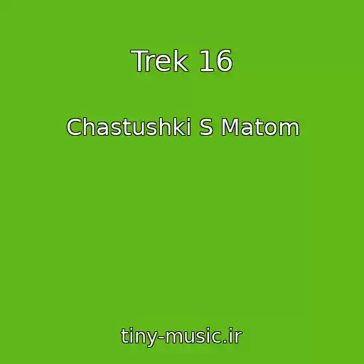 کاور آهنگ Trek 16 از Chastushki S Matom