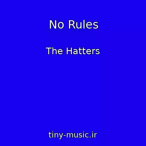کاور آهنگ No Rules از The Hatters