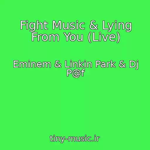 کاور آهنگ Fight Music & Lying From You (Live) از Eminem & Linkin Park & Dj P@f