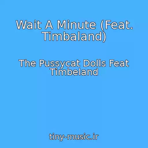 کاور آهنگ Wait A Minute (Feat. Timbaland) از The Pussycat Dolls Feat Timbeland