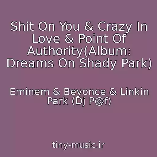 کاور آهنگ Shit On You & Crazy In Love & Point Of Authority(Album: Dreams On Shady Park) از Eminem & Beyonce & Linkin Park (Dj P@f)