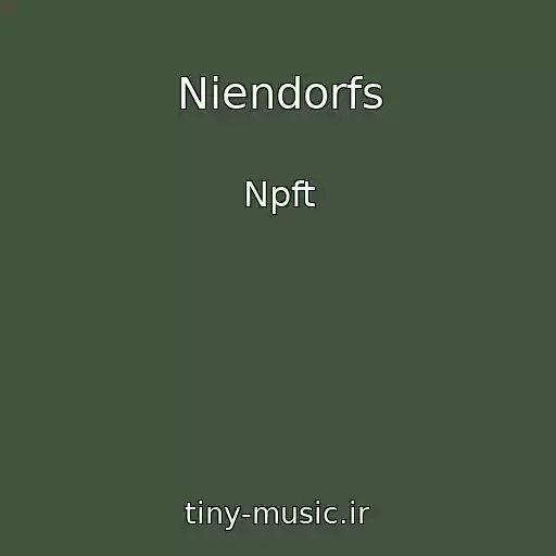 کاور آهنگ Niendorfs از Npft
