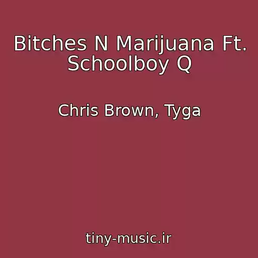 کاور آهنگ Bitches N Marijuana Ft. Schoolboy Q از Chris Brown, Tyga