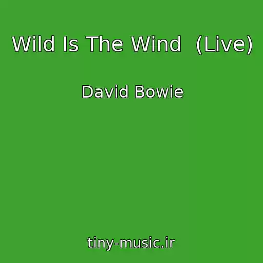 کاور آهنگ Wild Is The Wind  (Live) از David Bowie