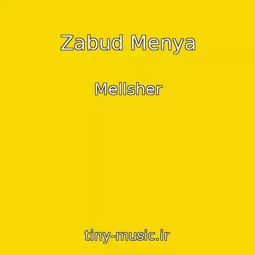 کاور آهنگ Zabud Menya از Mellsher