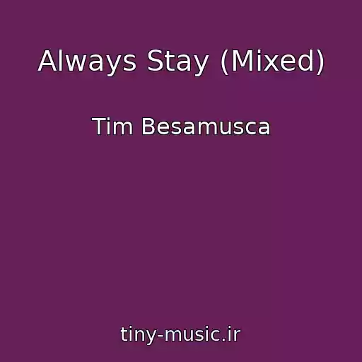 کاور آهنگ Always Stay (Mixed) از Tim Besamusca