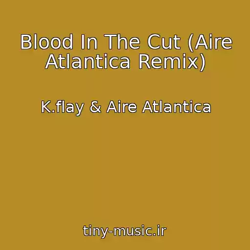 کاور آهنگ Blood In The Cut (Aire Atlantica Remix) از K.flay & Aire Atlantica