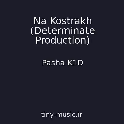 کاور آهنگ Na Kostrakh (Determinate Production) از Pasha K1D
