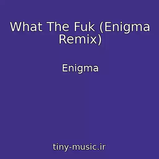 کاور آهنگ What The Fuk (Enigma Remix) از Enigma