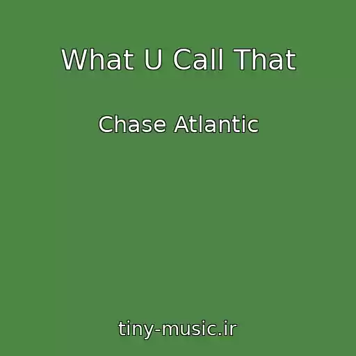 کاور آهنگ What U Call That از Chase Atlantic