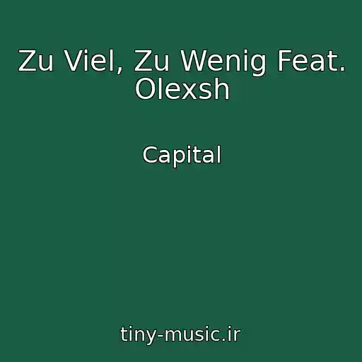 کاور آهنگ Zu Viel, Zu Wenig Feat. Olexsh از Capital