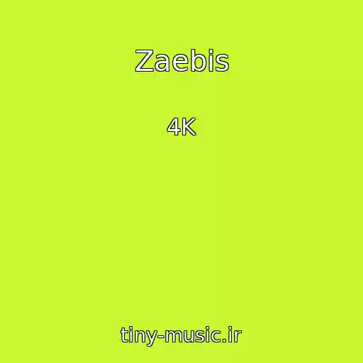 کاور آهنگ Zaebis از 4K
