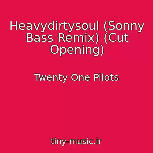 کاور آهنگ Heavydirtysoul (Sonny Bass Remix) (Cut Opening) از Twenty One Pilots