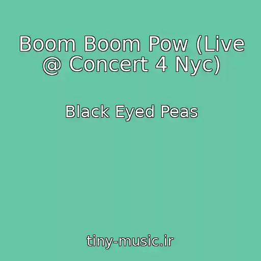 کاور آهنگ Boom Boom Pow (Live @ Concert 4 Nyc) از Black Eyed Peas