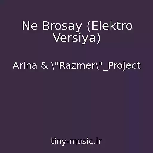 کاور آهنگ Ne Brosay (Elektro Versiya) از Arina & \"Razmer\"_Project