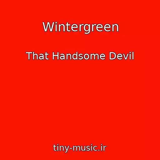 کاور آهنگ Wintergreen از That Handsome Devil
