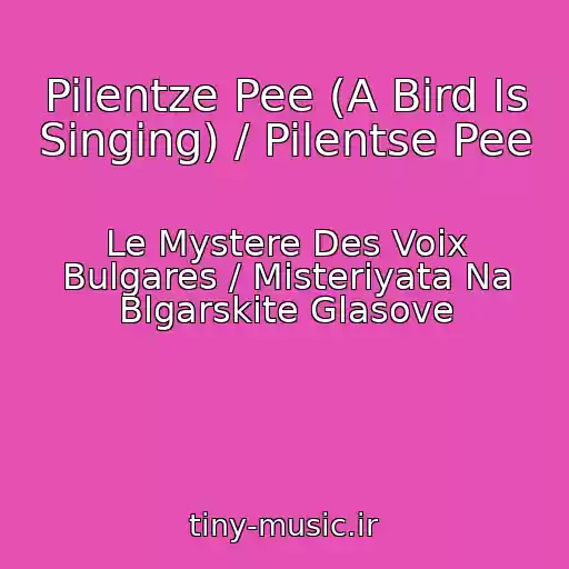 کاور آهنگ Pilentze Pee (A Bird Is Singing) / Pilentse Pee از Le Mystere Des Voix Bulgares / Misteriyata Na Blgarskite Glasove
