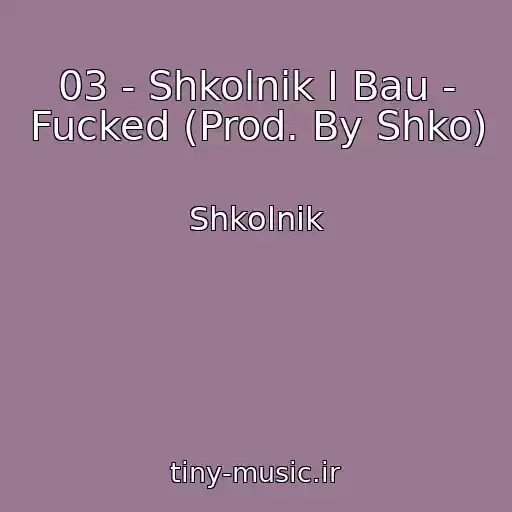کاور آهنگ 03 - Shkolnik I Bau - Fucked (Prod. By Shko) از Shkolnik