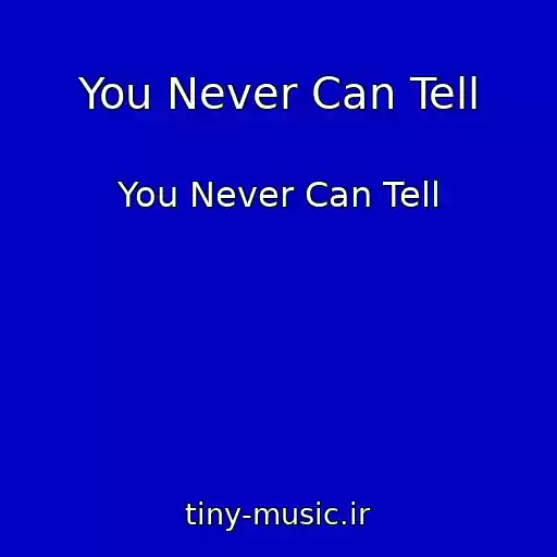 کاور آهنگ You Never Can Tell از You Never Can Tell