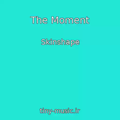 کاور آهنگ The Moment از Skinshape