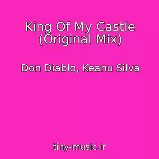 کاور آهنگ King Of My Castle (Original Mix) از Don Diablo, Keanu Silva