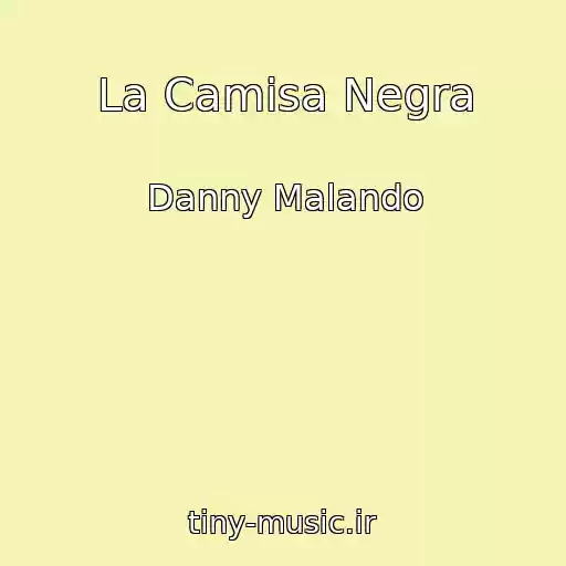 کاور آهنگ La Camisa Negra از Danny Malando