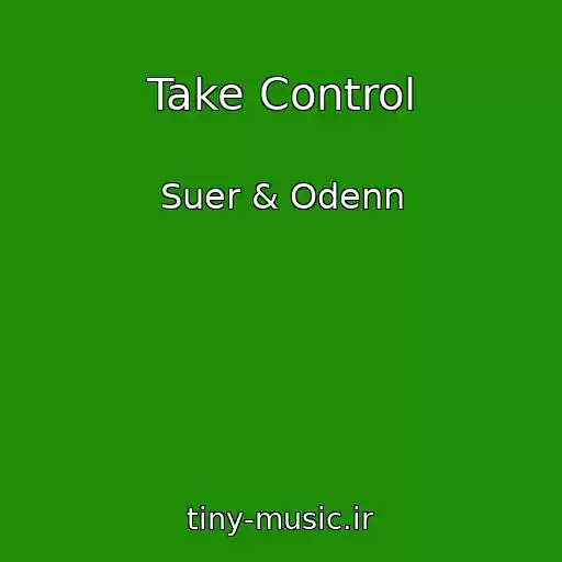 کاور آهنگ Take Control از Suer & Odenn